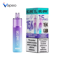 Big Bar 15K Pro Rechargeable Pod Kit  | |  Box of 5